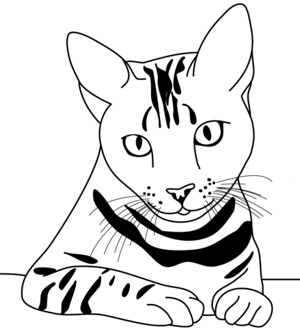 Striped Cat Coloring Page